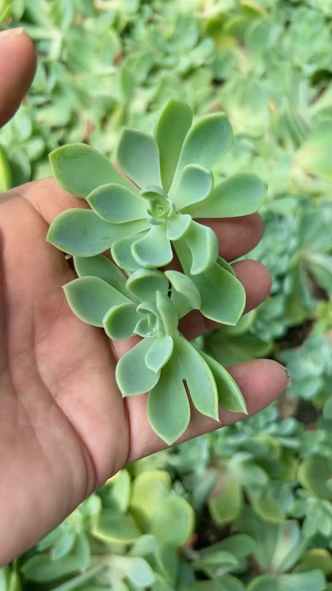 1baf5c1f7d6157e517d30de969d61d5