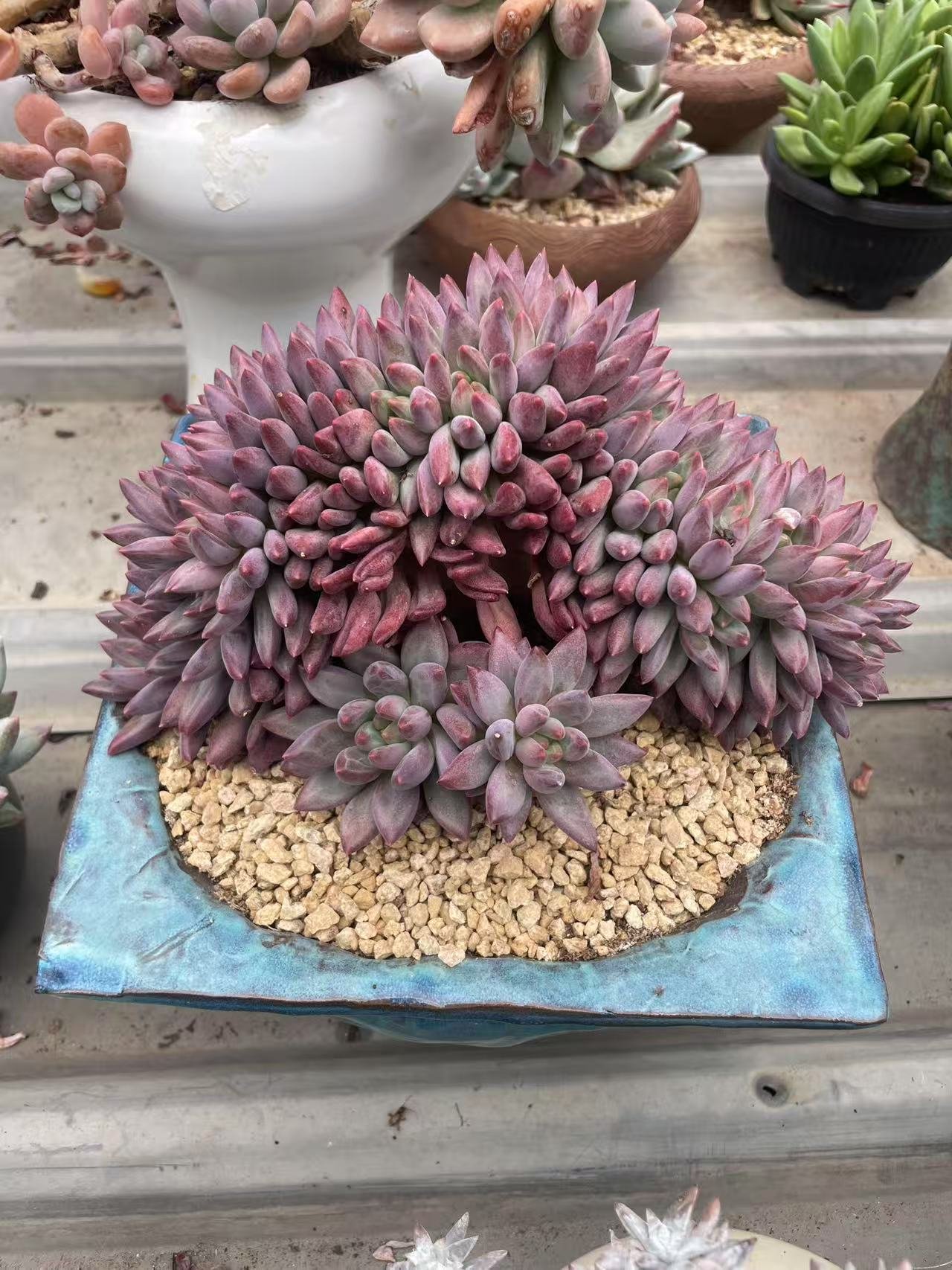 b71f8353b18f1296d46d88ab60cc56f