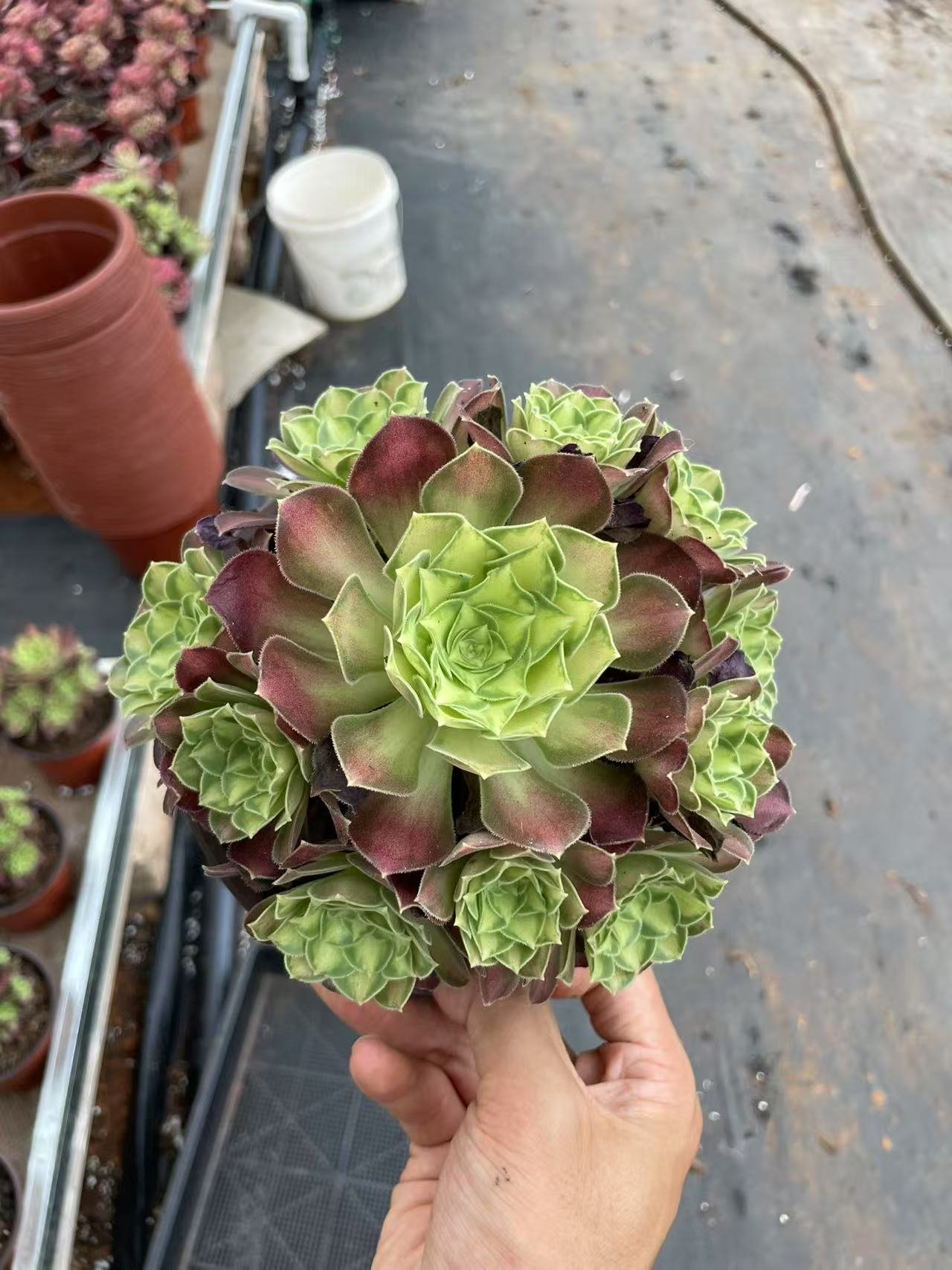 bba0581d561a2e89b4f9aa2eeee17ab