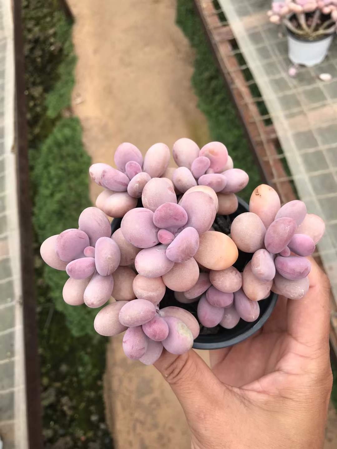 1fd2c0c604534948a0586440461faa9c