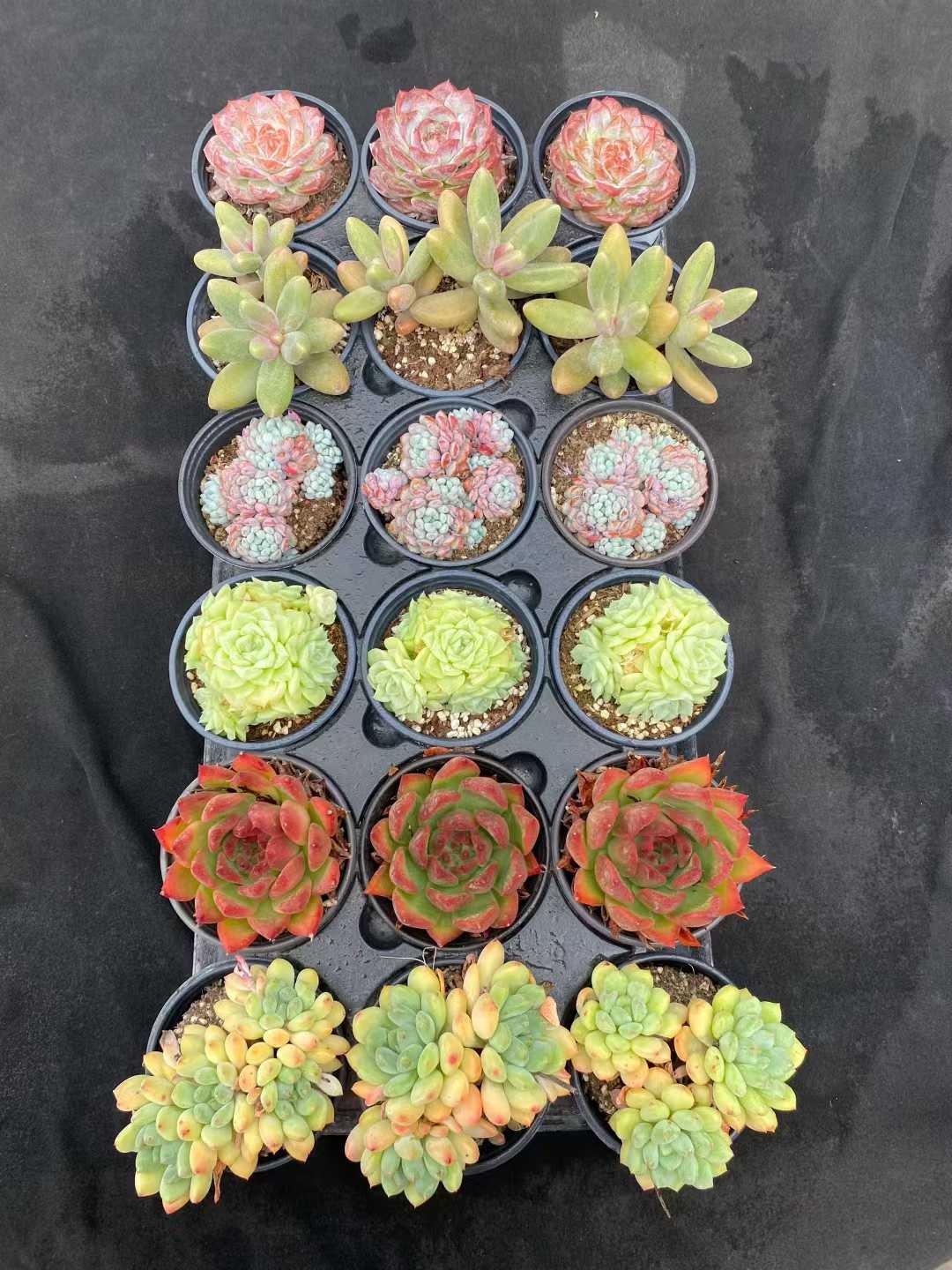 3c401c2900b6e5ea0fa521aefc3b5992