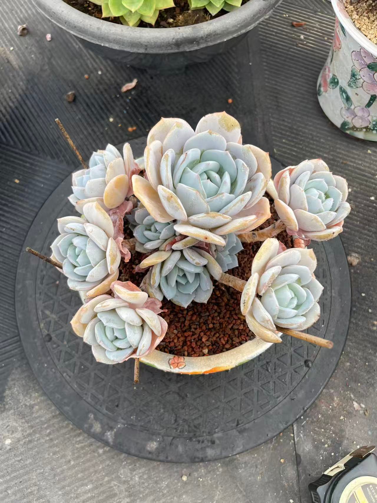 bb6f7e56c7e811c377c7f94ac5d5bd2b