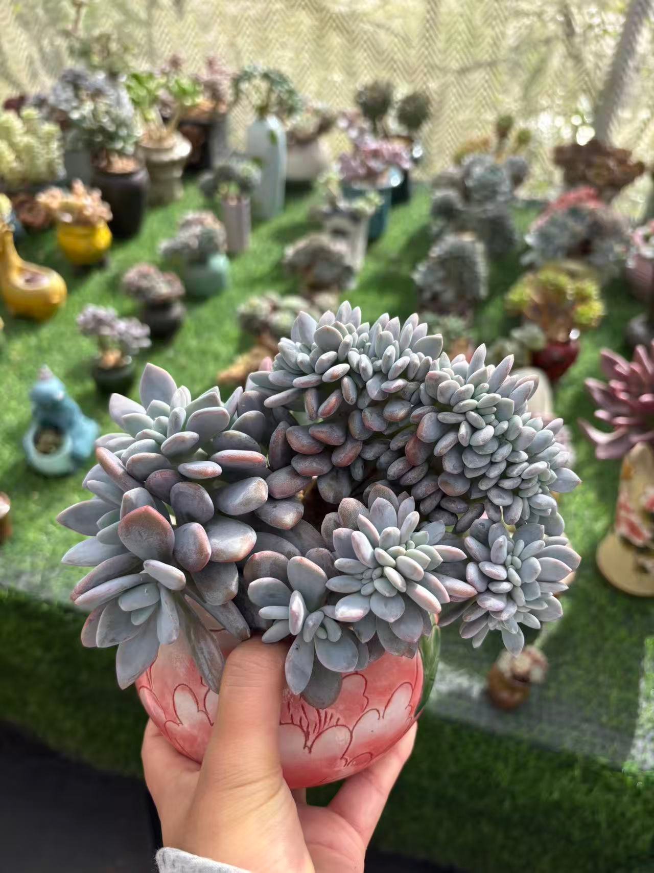 f3d91bc91412d29e20e23daf1083ae14