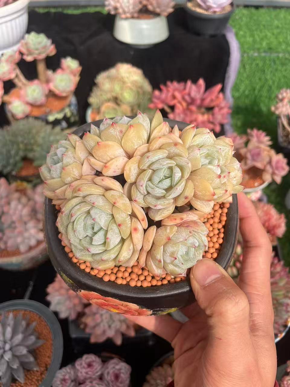 7b68e90bef8bcbf030811adbf7cc7bf7