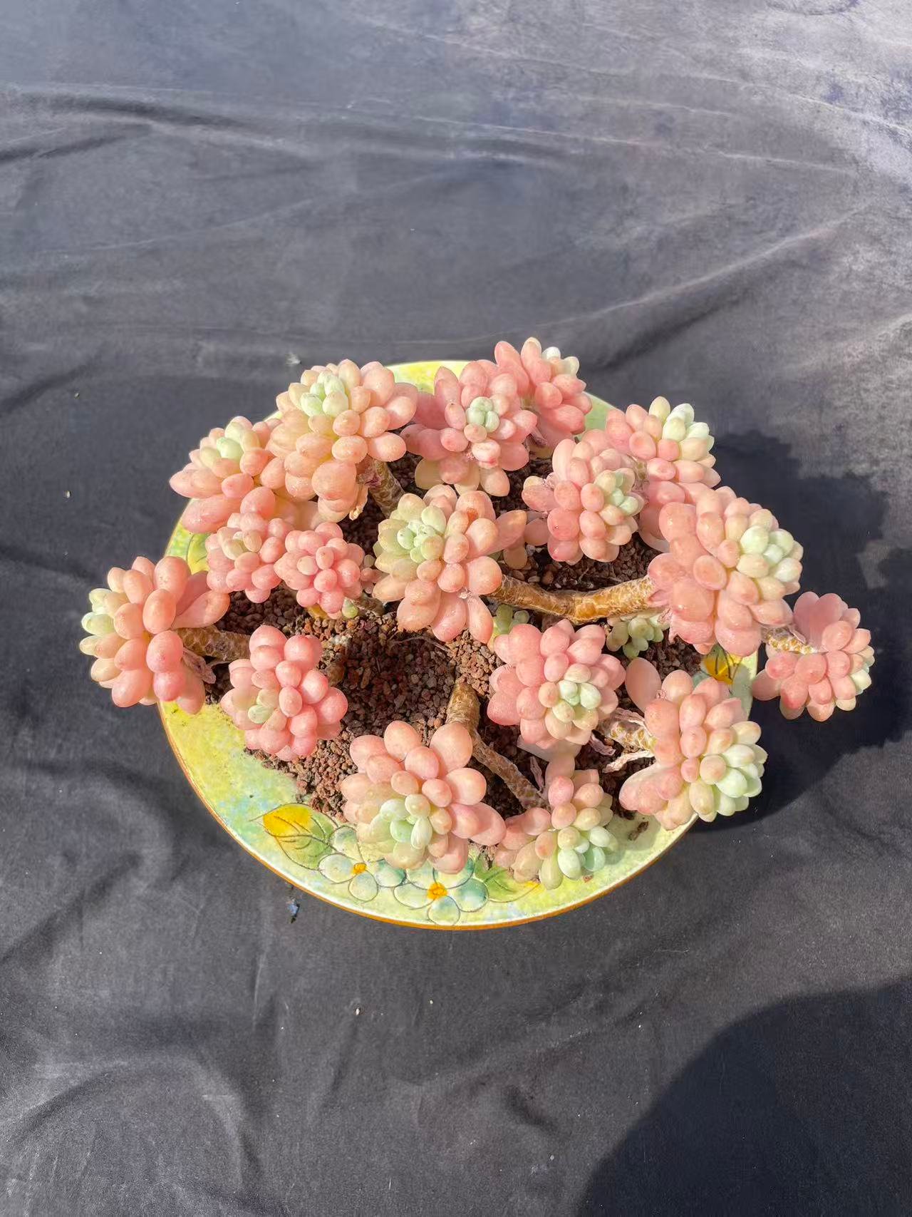 a8c8ed8ac6259041cb0ad461389e34d3