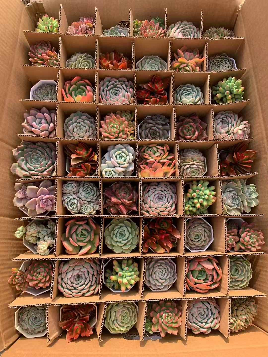 d6481dd8ec5436498952cc7176e42399