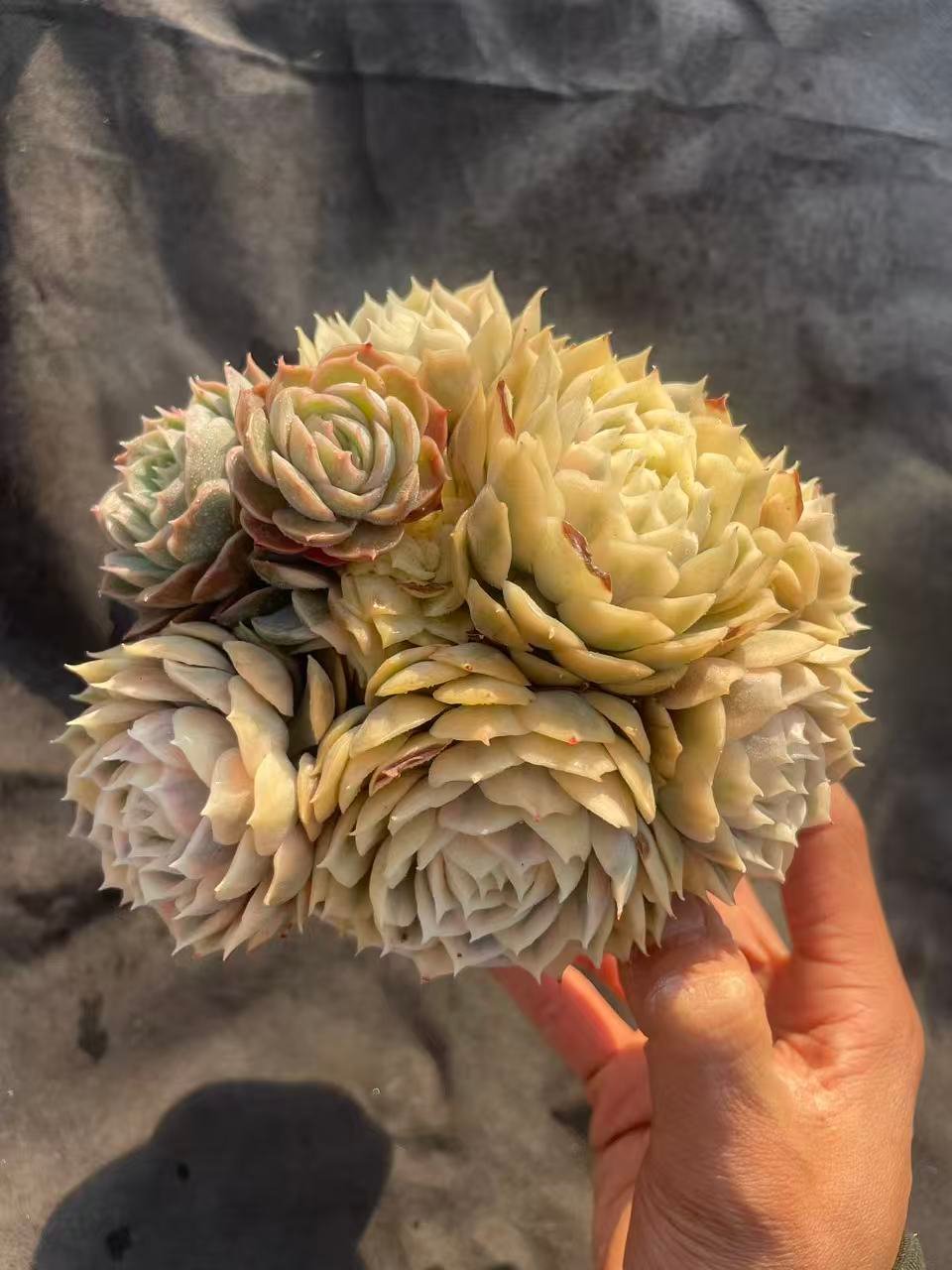 41dade6f9f68e203c770a836391efe87