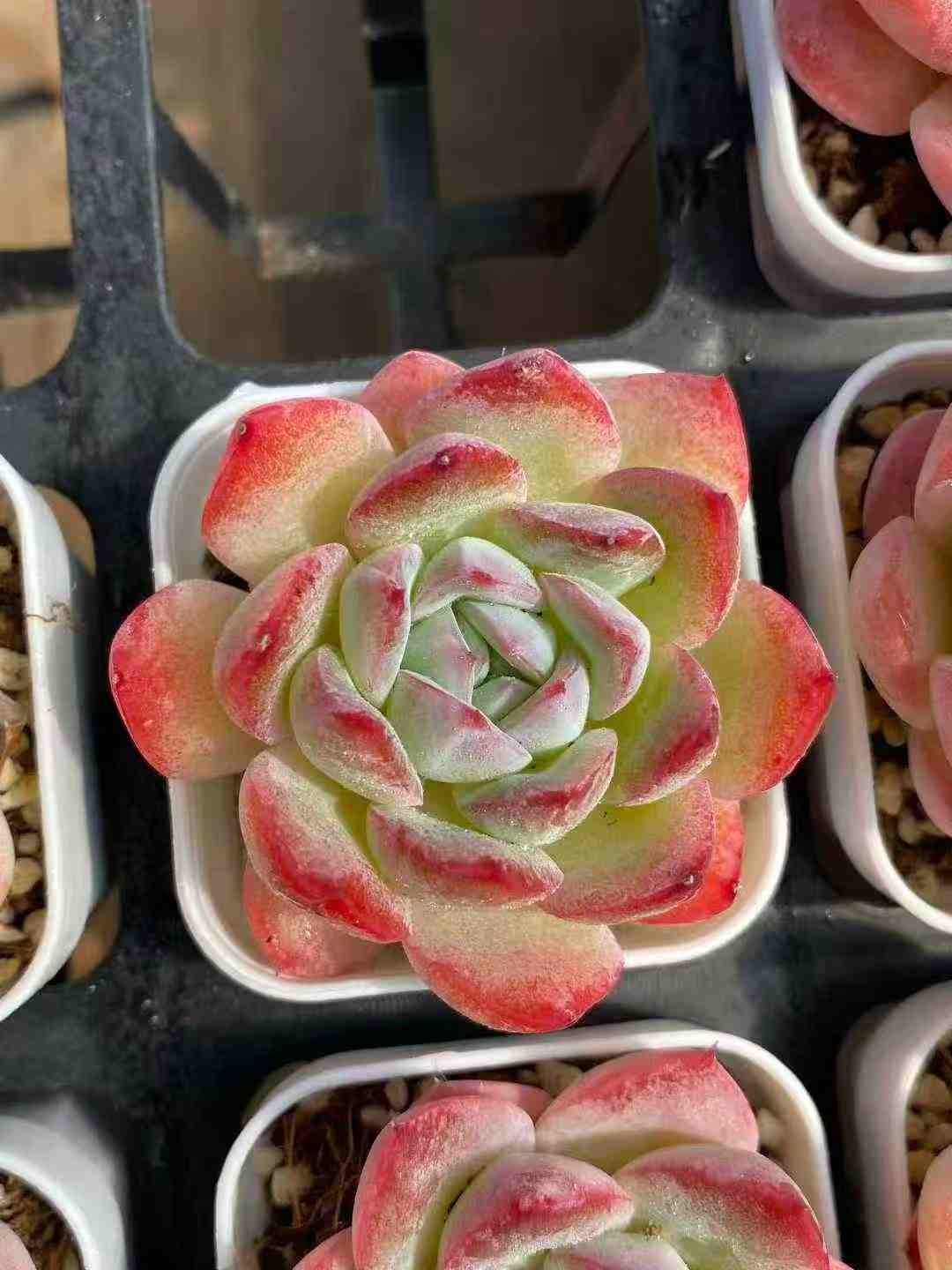 4aaebfb9c6b5ef68a9910b47c3a4857d