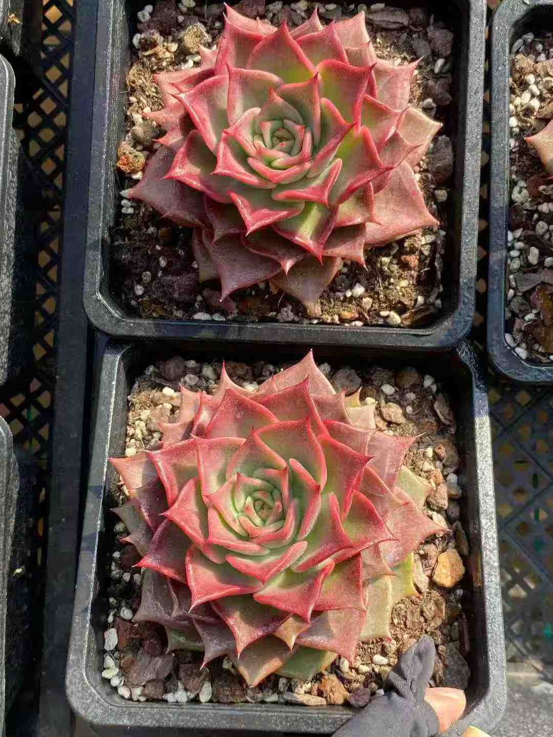 74b3e6216a8e7682f208d3e01909fdfa