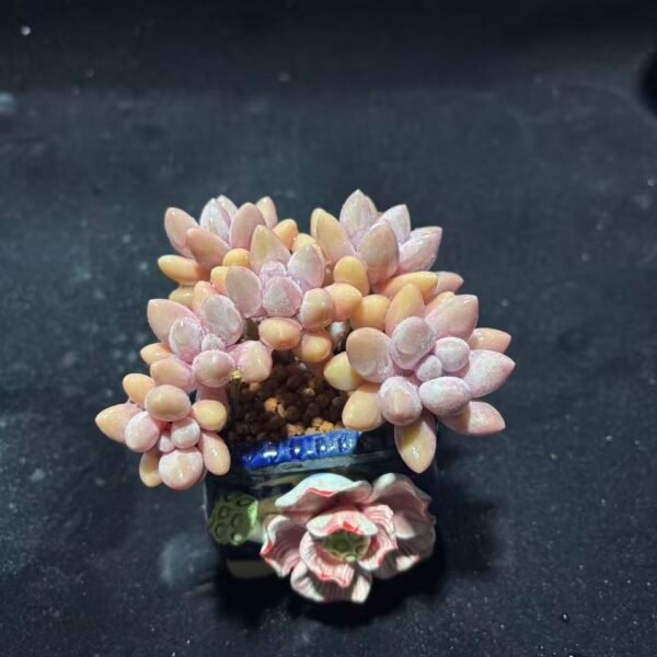 195.粉色恋人朵朵缀