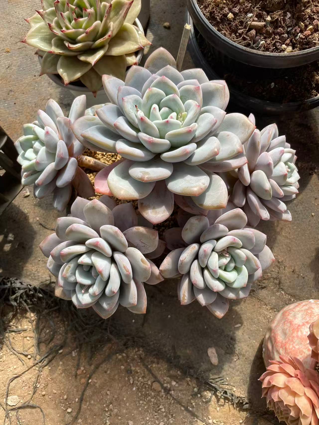 9b1fde75e99eb27041f6e84377d7e91c