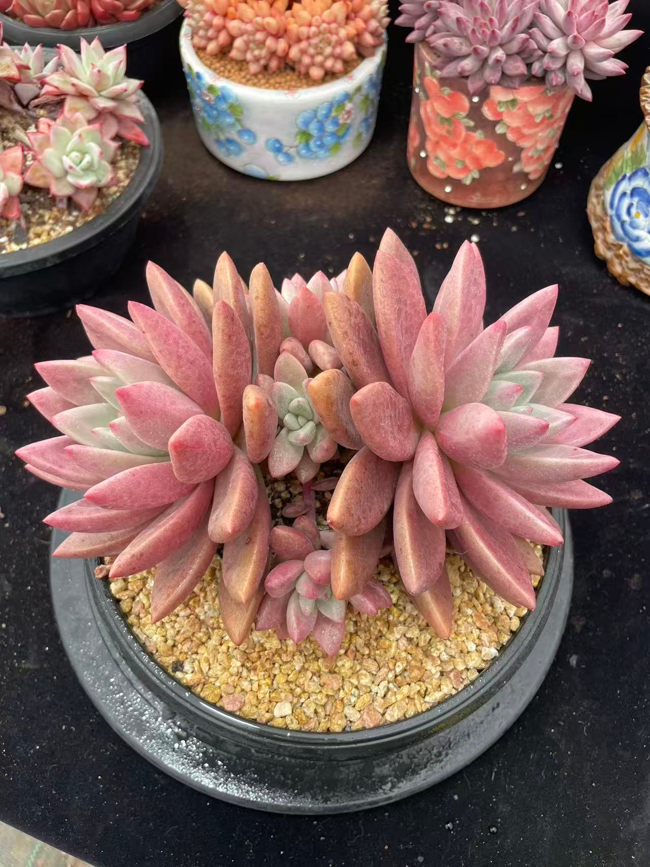 e256f84548fe9e66064d82624ce6a393