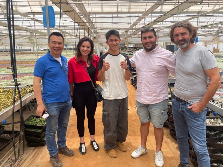 0b93131522630921fc6b833e73cf2d68