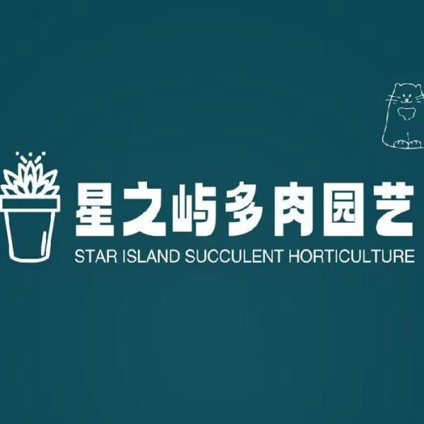 502. Consolidated orders