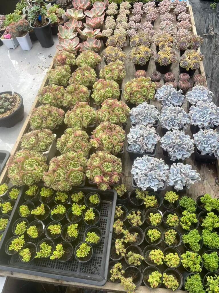 624477d15daa2dd3797118d87321b545