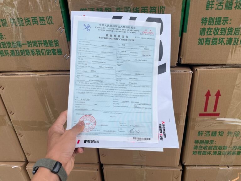 f6326c9e06d5395f65d37244a359d0d9