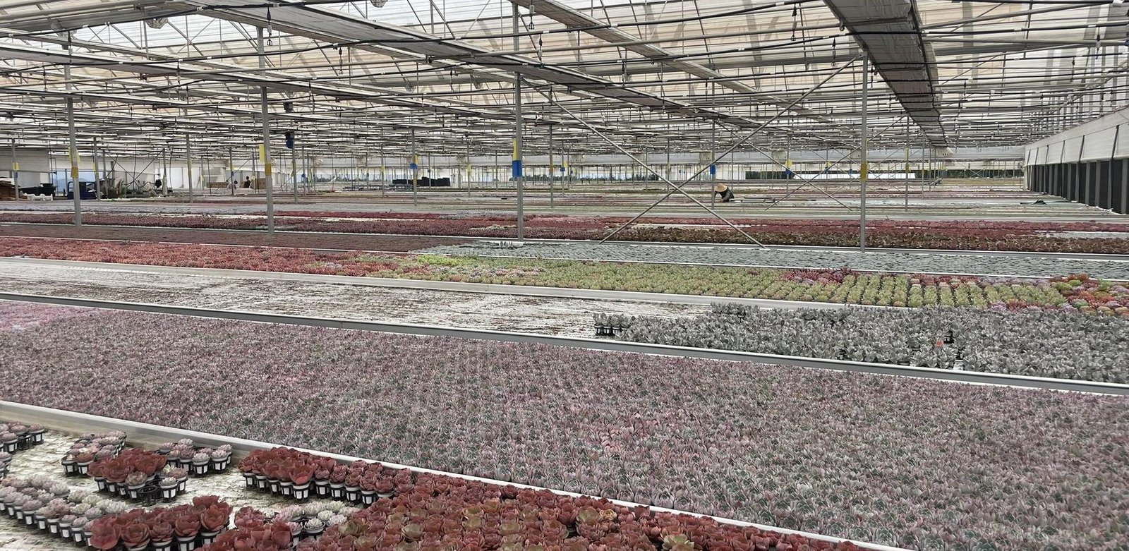 471485208_122132250512442982_2617697375397174563_n